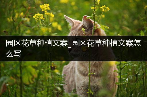 园区花草种植文案_园区花草种植文案怎么写
