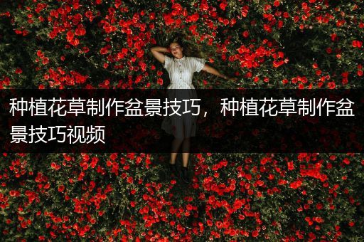 种植花草制作盆景技巧，种植花草制作盆景技巧视频