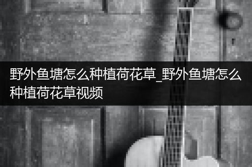 野外鱼塘怎么种植荷花草_野外鱼塘怎么种植荷花草视频