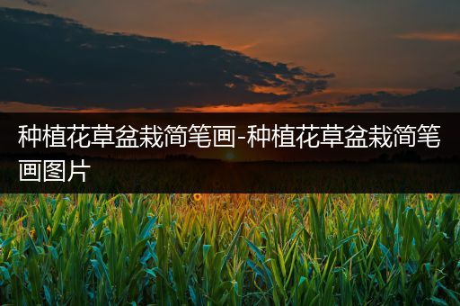种植花草盆栽简笔画-种植花草盆栽简笔画图片