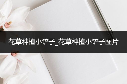 花草种植小铲子_花草种植小铲子图片