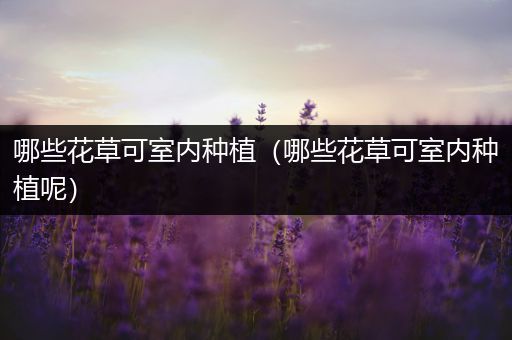 哪些花草可室内种植（哪些花草可室内种植呢）