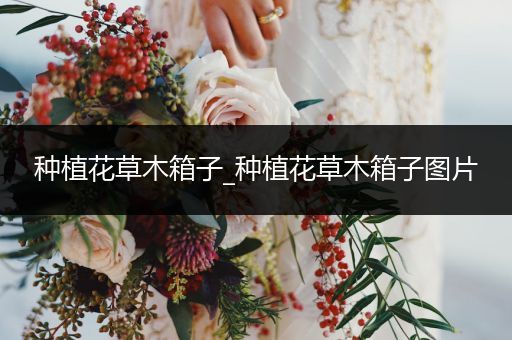 种植花草木箱子_种植花草木箱子图片