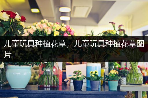 儿童玩具种植花草，儿童玩具种植花草图片