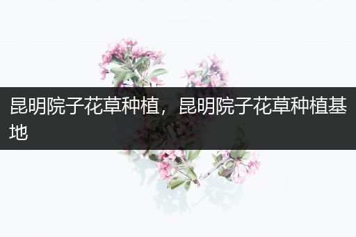 昆明院子花草种植，昆明院子花草种植基地