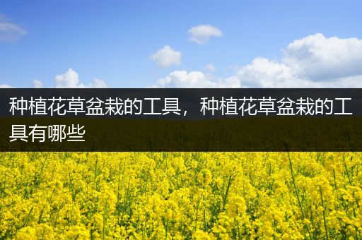 种植花草盆栽的工具，种植花草盆栽的工具有哪些
