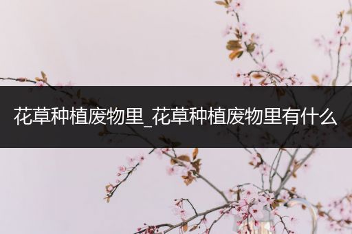 花草种植废物里_花草种植废物里有什么