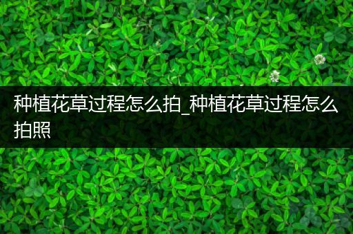 种植花草过程怎么拍_种植花草过程怎么拍照
