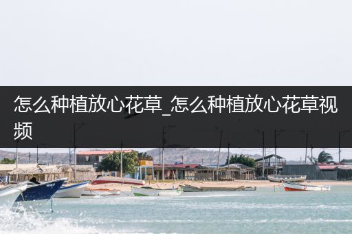 怎么种植放心花草_怎么种植放心花草视频