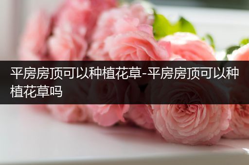 平房房顶可以种植花草-平房房顶可以种植花草吗