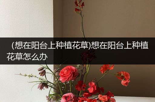 （想在阳台上种植花草)想在阳台上种植花草怎么办