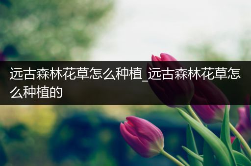 远古森林花草怎么种植_远古森林花草怎么种植的