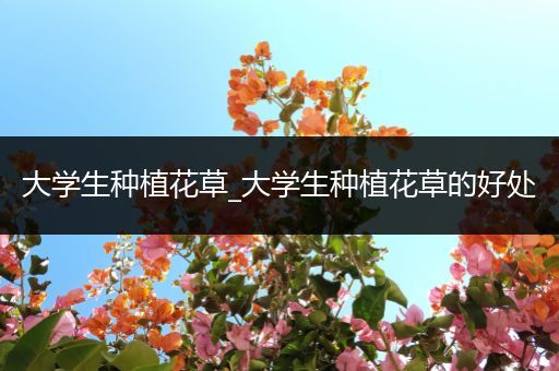 大学生种植花草_大学生种植花草的好处