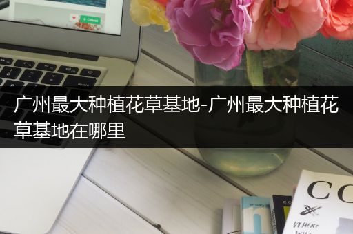 广州最大种植花草基地-广州最大种植花草基地在哪里