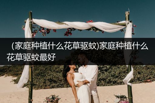 （家庭种植什么花草驱蚊)家庭种植什么花草驱蚊最好