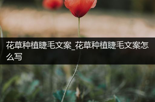 花草种植睫毛文案_花草种植睫毛文案怎么写