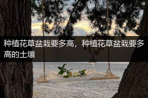 种植花草盆栽要多高，种植花草盆栽要多高的土壤