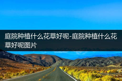 庭院种植什么花草好呢-庭院种植什么花草好呢图片