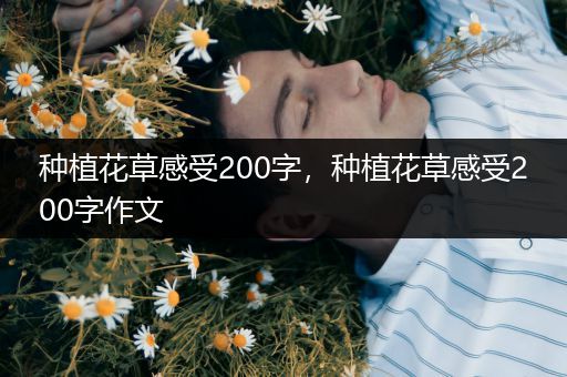 种植花草感受200字，种植花草感受200字作文