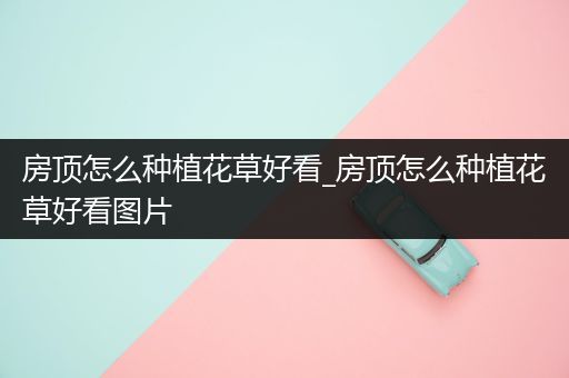 房顶怎么种植花草好看_房顶怎么种植花草好看图片