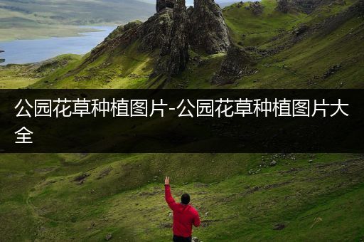 公园花草种植图片-公园花草种植图片大全