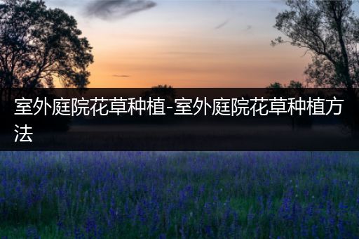 室外庭院花草种植-室外庭院花草种植方法