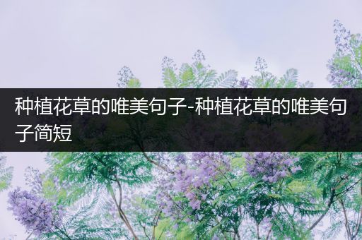 种植花草的唯美句子-种植花草的唯美句子简短