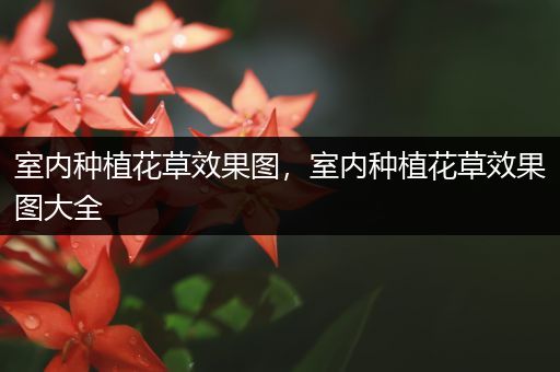 室内种植花草效果图，室内种植花草效果图大全