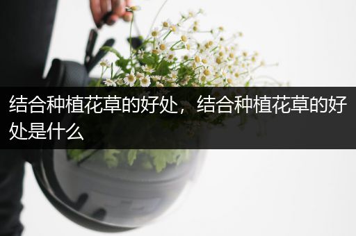 结合种植花草的好处，结合种植花草的好处是什么