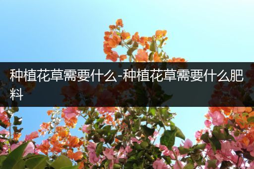 种植花草需要什么-种植花草需要什么肥料
