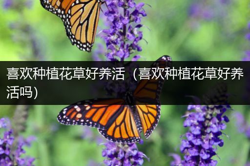 喜欢种植花草好养活（喜欢种植花草好养活吗）