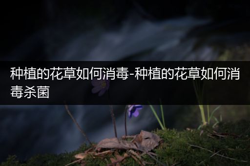 种植的花草如何消毒-种植的花草如何消毒杀菌
