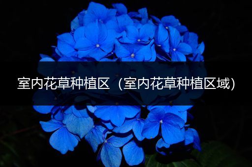 室内花草种植区（室内花草种植区域）