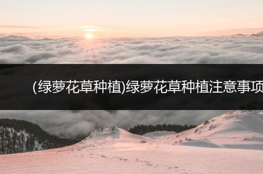 （绿萝花草种植)绿萝花草种植注意事项