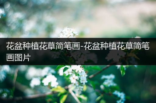 花盆种植花草简笔画-花盆种植花草简笔画图片