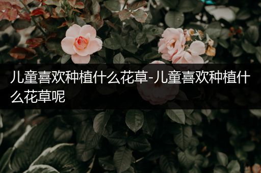 儿童喜欢种植什么花草-儿童喜欢种植什么花草呢