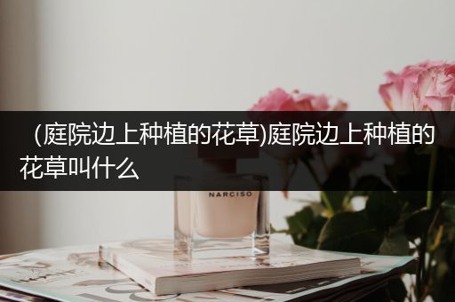 （庭院边上种植的花草)庭院边上种植的花草叫什么
