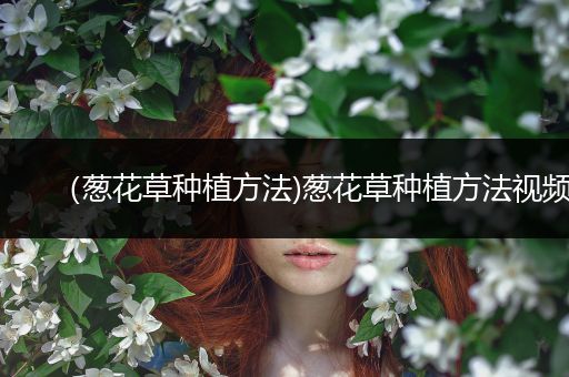 （葱花草种植方法)葱花草种植方法视频