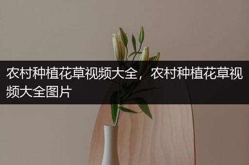 农村种植花草视频大全，农村种植花草视频大全图片