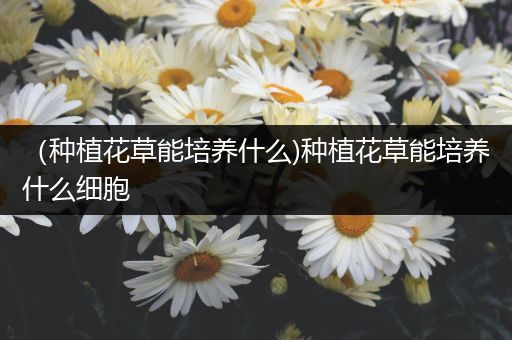 （种植花草能培养什么)种植花草能培养什么细胞