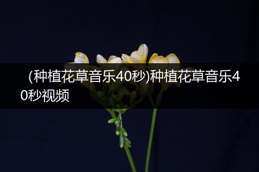 （种植花草音乐40秒)种植花草音乐40秒视频