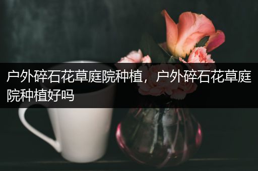 户外碎石花草庭院种植，户外碎石花草庭院种植好吗
