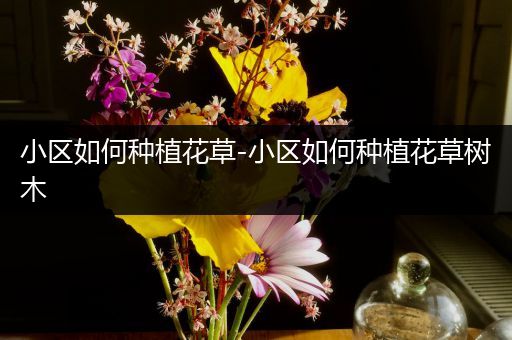 小区如何种植花草-小区如何种植花草树木