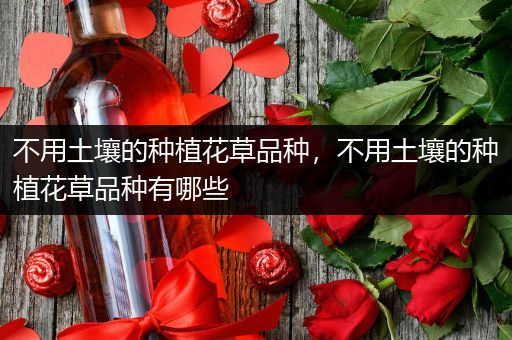 不用土壤的种植花草品种，不用土壤的种植花草品种有哪些
