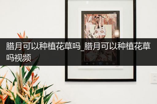 腊月可以种植花草吗_腊月可以种植花草吗视频