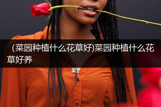 （菜园种植什么花草好)菜园种植什么花草好养