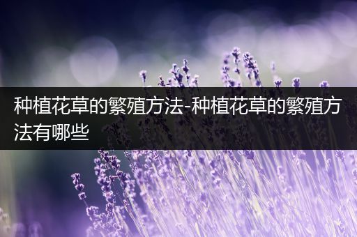 种植花草的繁殖方法-种植花草的繁殖方法有哪些