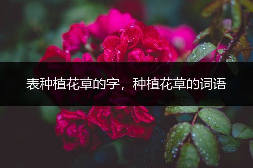 表种植花草的字，种植花草的词语