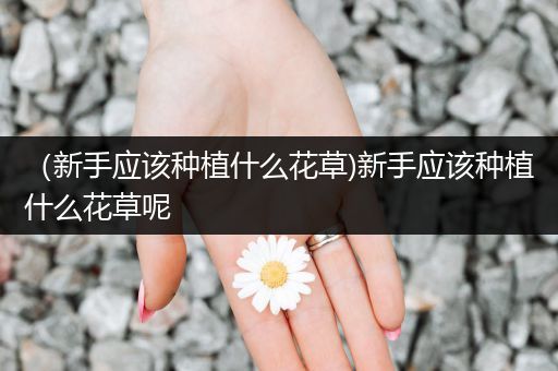 （新手应该种植什么花草)新手应该种植什么花草呢