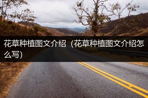 花草种植图文介绍（花草种植图文介绍怎么写）